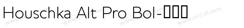 Houschka Alt Pro Bol字体转换